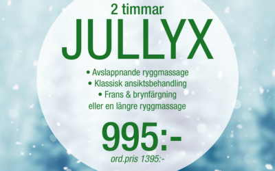 2 timmar jullyx